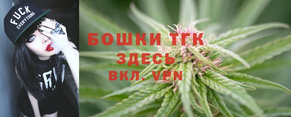 СК Аркадак