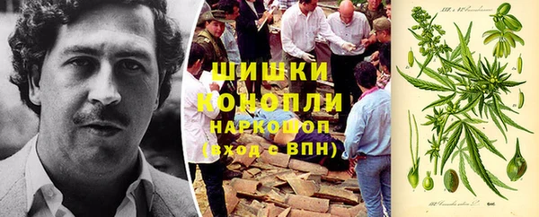 ГАЛЛЮЦИНОГЕННЫЕ ГРИБЫ Армянск