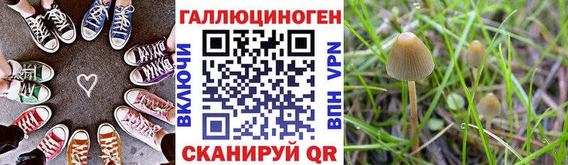 Галлюциногенные грибы мицелий  закладка  Ртищево 